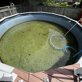 tav pools image 3